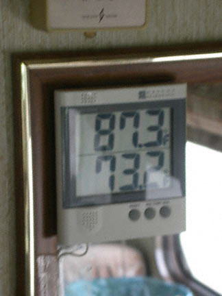 0308035884