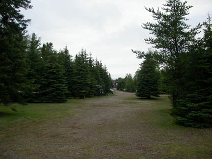 DSCN6265