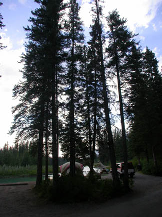 DSCN7054