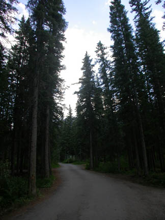 DSCN7055
