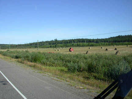 DSCN7647