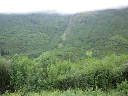 DSCN8078