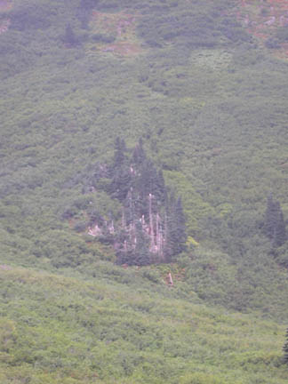 DSCN8079