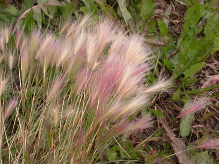 DSCN8199