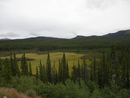 DSCN8615