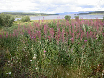 DSCN8704