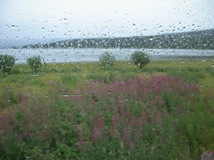 DSCN8779