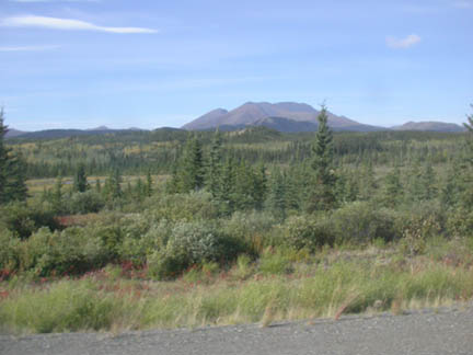 DSCN8971