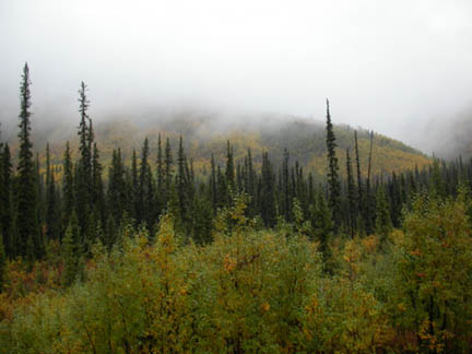 DSCN0445