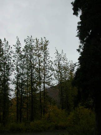 DSCN0484