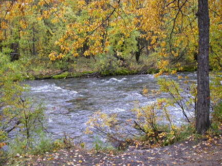DSCN0486