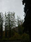 DSCN0484