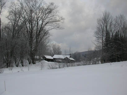 0301205313